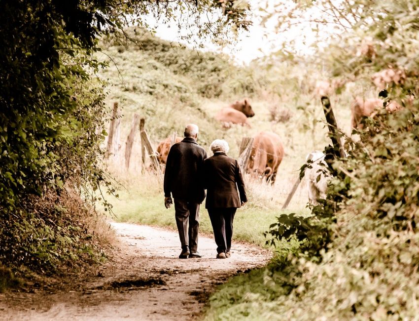Altes Paar auf einer Wanderung