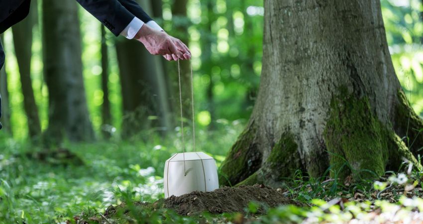 Urnenbeisetzung im Bestattungswald